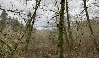 NE 197th Ct, Amboy, WA 98601