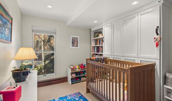 910 W Hallam St 11, Aspen, CO 81611