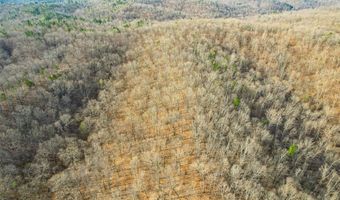 4376 Highway BB, Annapolis, MO 63620