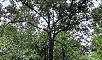 Sardis Lake Drive, Batesville, MS 38655