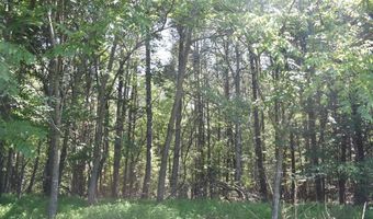 643 Radar Rd, Ararat, NC 27007