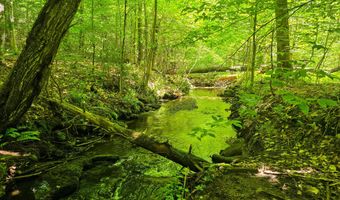 1905 Camp Munn Rd, Bradford, VT 05033