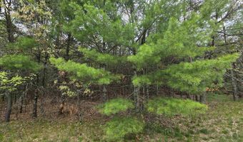 S Badger Lane lot 39, Arkdale, WI 54613