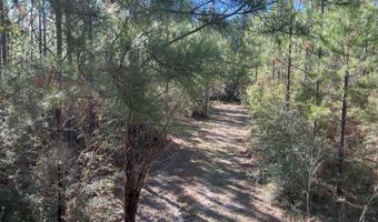 259 Forest Lake Rd, Beaumont, MS 39423
