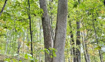 Jesse Run Rd, Arnoldsburg, WV 25234