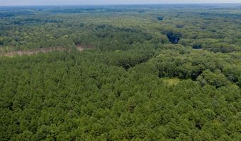 1 Highway 157, Benton, LA 71006