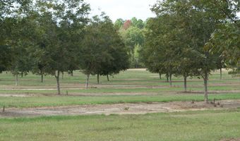 9953 Gravel Hl, Baconton, GA 31716