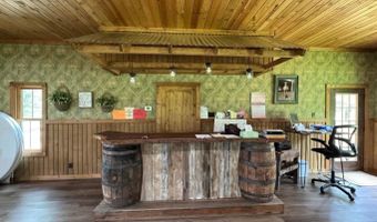 3 Dry Bone Rd, Ash Flat, AR 72513