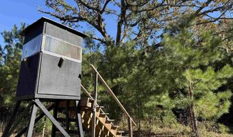 57 40 Acres-TBD Cades Rd, Cades, SC 29518