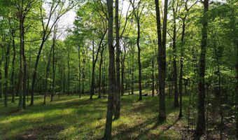 KAW-LIGA Dr, Bath Springs, TN 38311