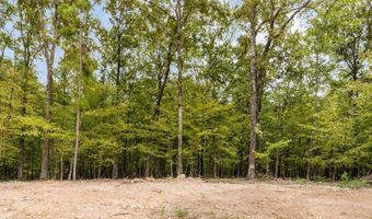 7048 Hannah Ln, Benton, AR 72019