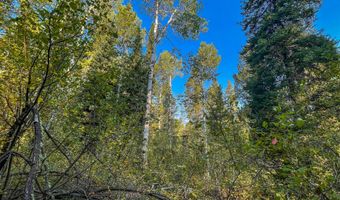 Tbd ALPINE MEADOW LOOP 14, Alpine, WY 83128
