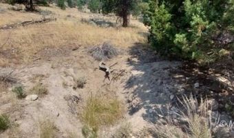 40 Acres Off 36N06, Adin, CA 96006