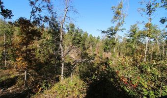 Off Hwy F, Annapolis, MO 63620