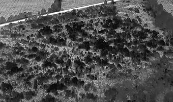 Voorhees Road, Bamberg, SC 29003