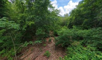 County Road 200, Alton, MO 65606