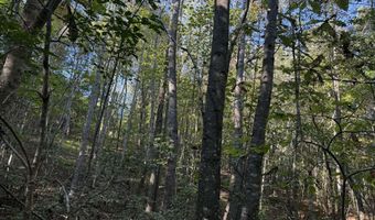 1028 Goddard Rd, Bear Creek, AL 35543