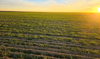 Shumaker Rd, Bennett, CO 80102