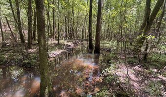 000 Pebble Cove Rd, Abbeville, AL 36310