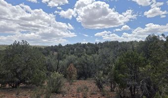446 Arizona Rd, Ash Fork, AZ 86320