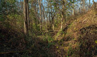 Lot 4 Prairie View Road, Argyle, WI 53504