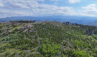 381 OLD CAMP Rd, Bellvue, CO 80512