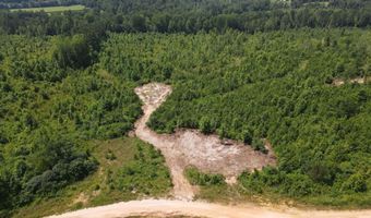 Tract 4 Tucker Rd, Bath Springs, TN 38311