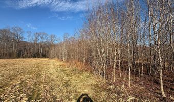 BLACK SWAMP ROAD, Felton, DE 19943