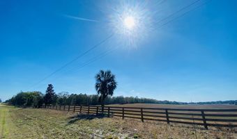 010 County Road 340, Bell, FL 32619