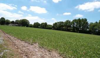 NINE FOOT Road lot 2, Greenwood, DE 19950