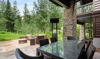 289 Exhibition Ln, Aspen, CO 81611