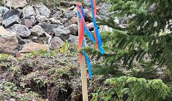 355 QUANDARY VIEW Dr, Breckenridge, CO 80424