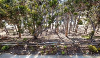 3035 Via Amador, Carlsbad, CA 92010