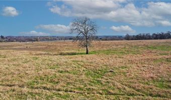 Tbd Tract 5 Fm-2819, Anderson, TX 77830