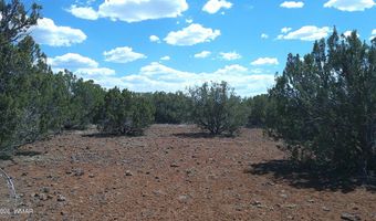 5 County Road 8077, Concho, AZ 85924
