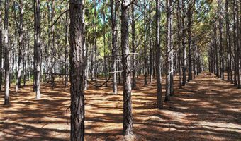 Highway 112, Abbeville, GA 31001