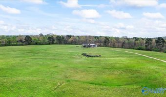 435 Sneadview Rd, Altoona, AL 35952