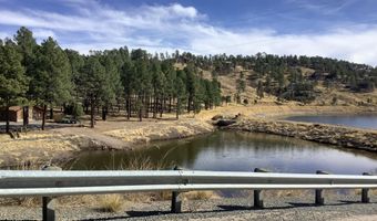 212 Lake Shore Dr 1, Alto, NM 88312