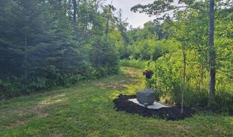 501 Geronimo Rd, Alpena, MI 49707