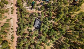 8 County Road 2083, Alpine, AZ 85920