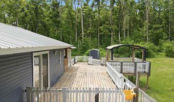 7028 Barney Rd, Alanson, MI 49706