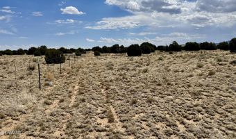 17 County Road N8034, Concho, AZ 85924
