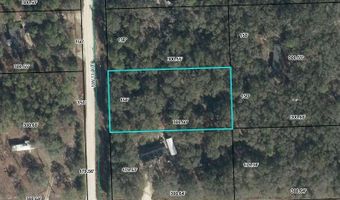 NW 11th Ave, Bell, FL 32619