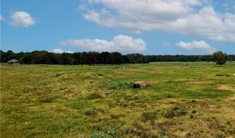 Tbd Tract 4 Fm-2819, Anderson, TX 77830