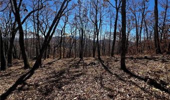 Chappell Farm Road lot 2, Banner Elk, NC 28604