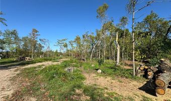 22535 Cedar Lake Dr, Aitkin, MN 56431