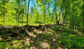 310 Sky Farm Ln, Barnet, VT 05821