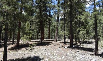 80 Ranch Rd, Bayfield, CO 81122