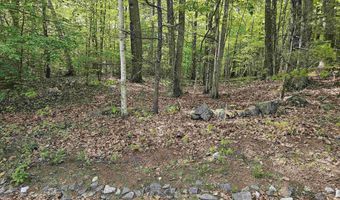 Province Road lot 26, Belmont, NH 03220