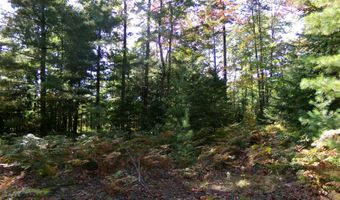 V/L 30AC Lake Winyah Road, Alpena, MI 49707